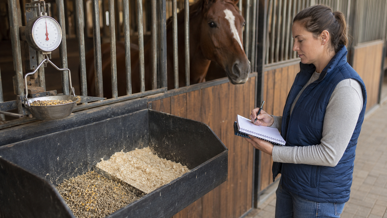 How Much Horse Feed Is Lost to Spilling? A Simple Barn Waste Audit