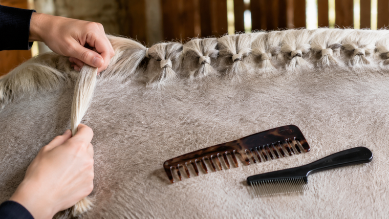 Mane and Tail Comb Teeth: Wide, Fine, or Pick-Style?