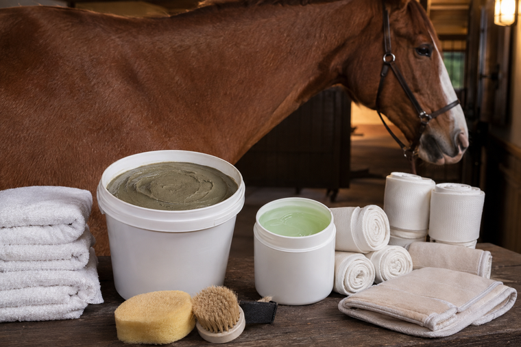 Poultice vs Liniment After Work: A Job-Based Horse Care Guide