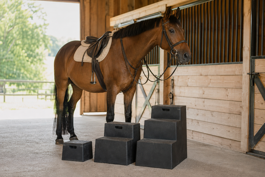 2-Step vs 3-Step vs 4-Step Horse Mounting Blocks: A Practical Height Guide