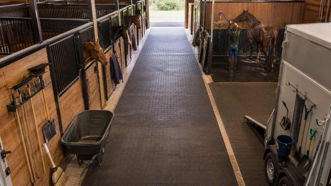 How to Build a Barn Cleanup Station for Every Chore Zone