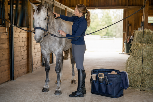 The Fastest Practical Horse Grooming Routine for Busy Barn Mornings