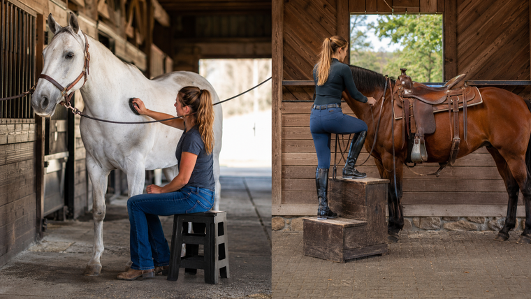 Grooming Stool vs Mounting Block: Two Tools, Two Different Jobs