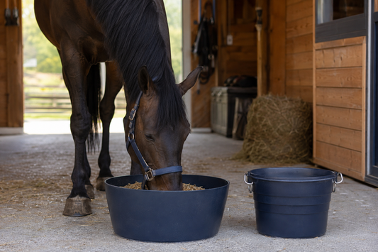 Horse Feed Tub vs Feed Bucket: How to Choose the Better Feeding Setup