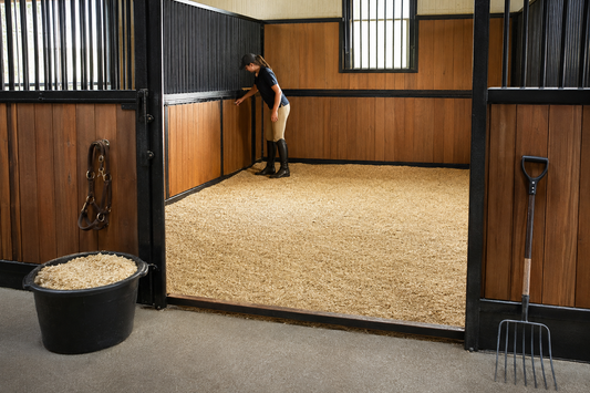 Horse Stall Cleaning Checklist: Daily, Weekly, and Between-Horse Tasks