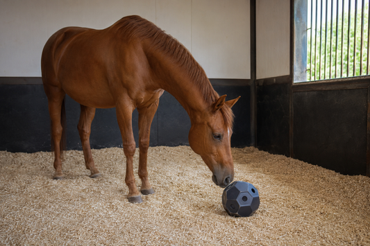 Horse Stall Toys and Enrichment: How to Choose, Hang, and Inspect Them Safely