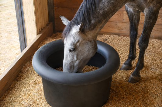 How a Horse Feed Saver Ring Works—and When It Is Worth Using