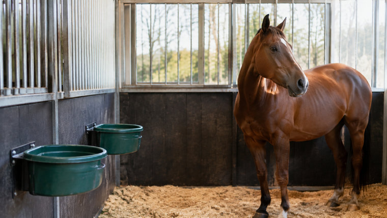 How to Build a Two-Bucket Water System for a Horse Stall