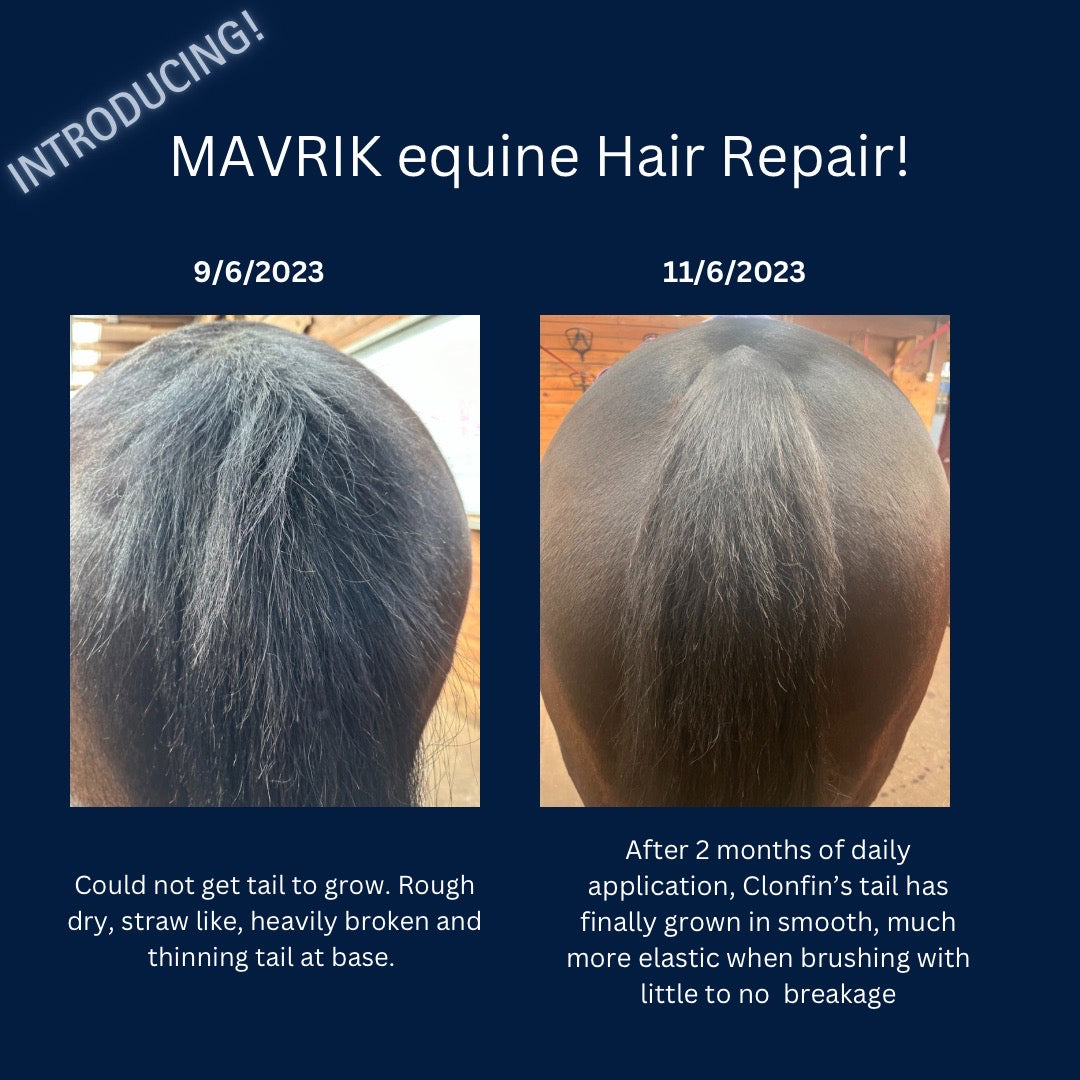 MAVRIK Hair, Coat & Scar Care Oil for Horses