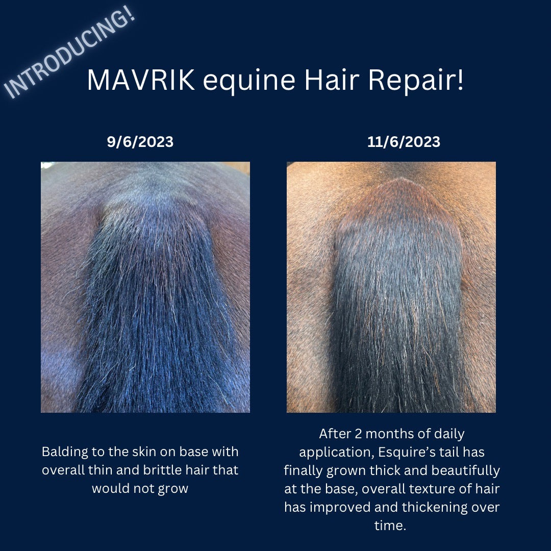 MAVRIK Hair, Coat & Scar Care Oil for Horses
