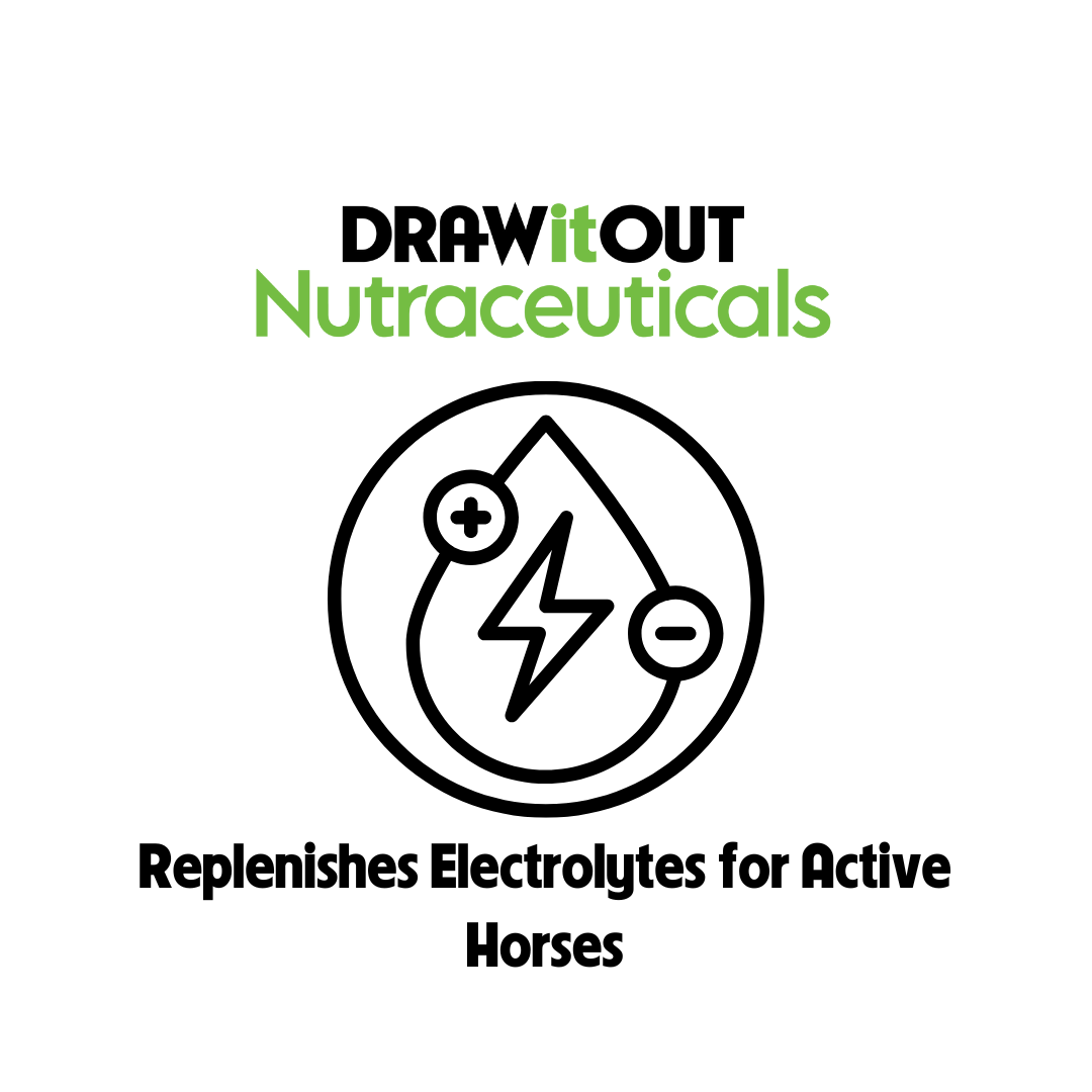 Hydro-Lyte® Electrolito + Recuperación Intestinal | Draw It Out®