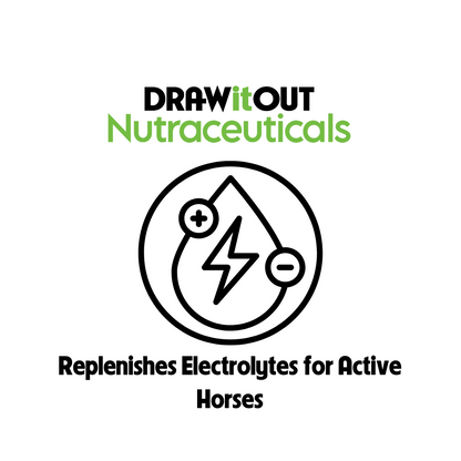 Hydro-Lyte® Electrolito + Recuperación Intestinal | Draw It Out®