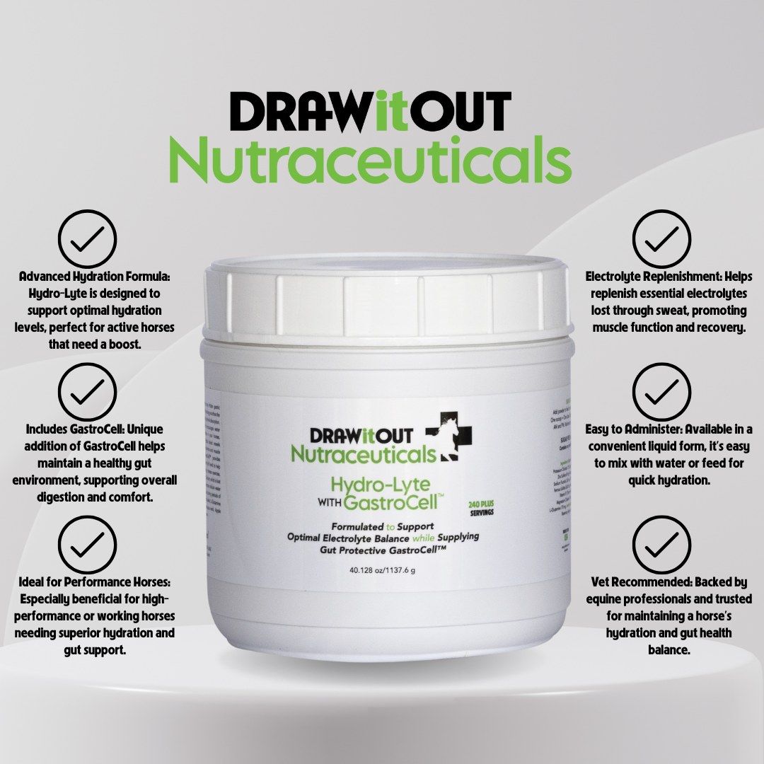 Hydro-Lyte® Electrolito + Recuperación Intestinal | Draw It Out®