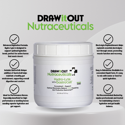 Hydro-Lyte® Electrolito + Recuperación Intestinal | Draw It Out®