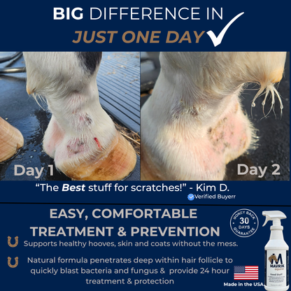 Good Stuff™ Natural Horse Spray | Skin, Coat & Hoof Care