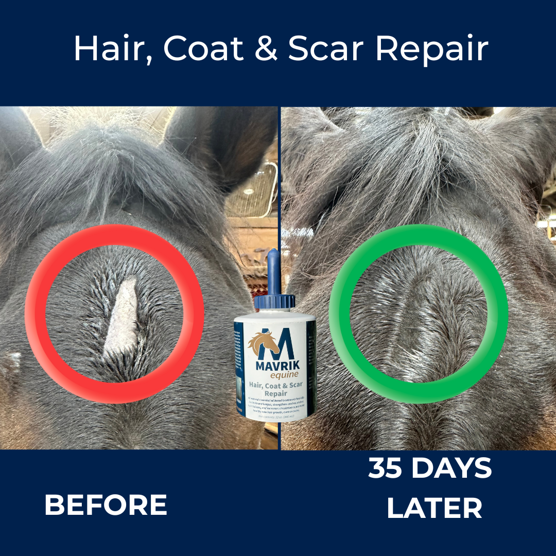 MAVRIK Hair, Coat & Scar Care Oil for Horses