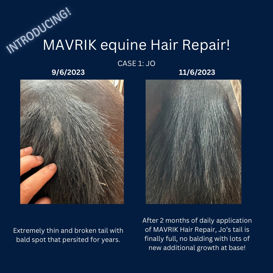MAVRIK Hair, Coat & Scar Care Oil for Horses
