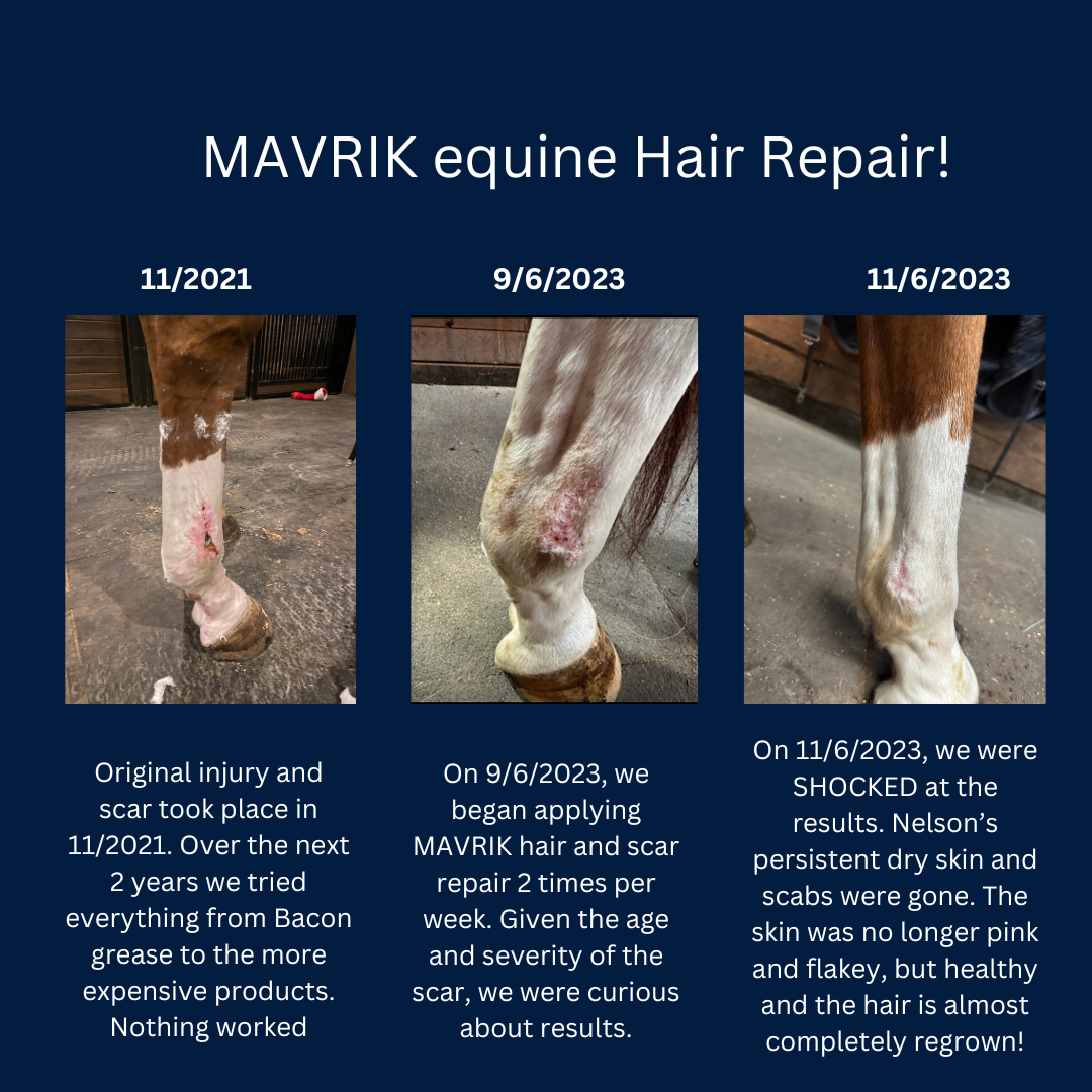 MAVRIK Hair, Coat & Scar Care Oil for Horses