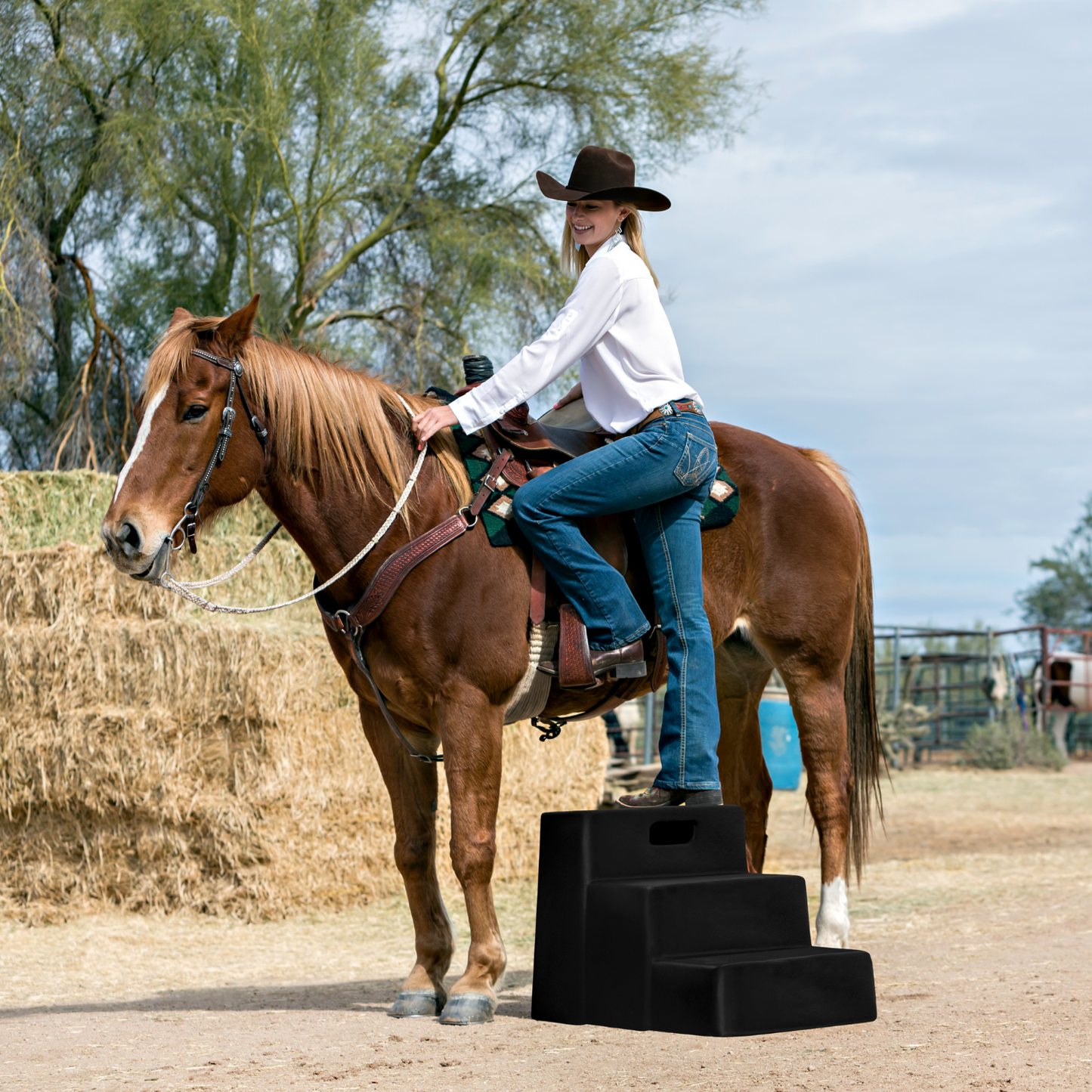 Horsemen’s Pride 3-Step Horse Mounting Block | 21" Barn Step