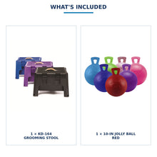 Grooming & Stall Enrichment Set — exact product photo composite