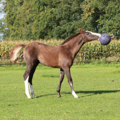 Horsemen’s Pride Jolly Ball® 8" Horse Toy | Stall & Chase Toy
