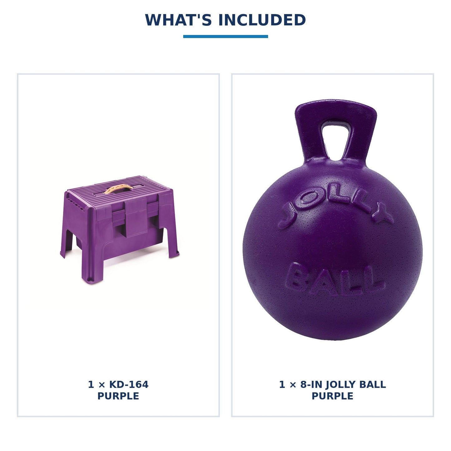 Pony Grooming & Play Set — exact product photo composite