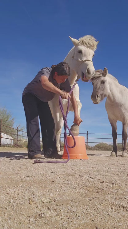 KD-120E 18 Qt. Lightweight Bucket | All-Weather Feed and Water Bucket